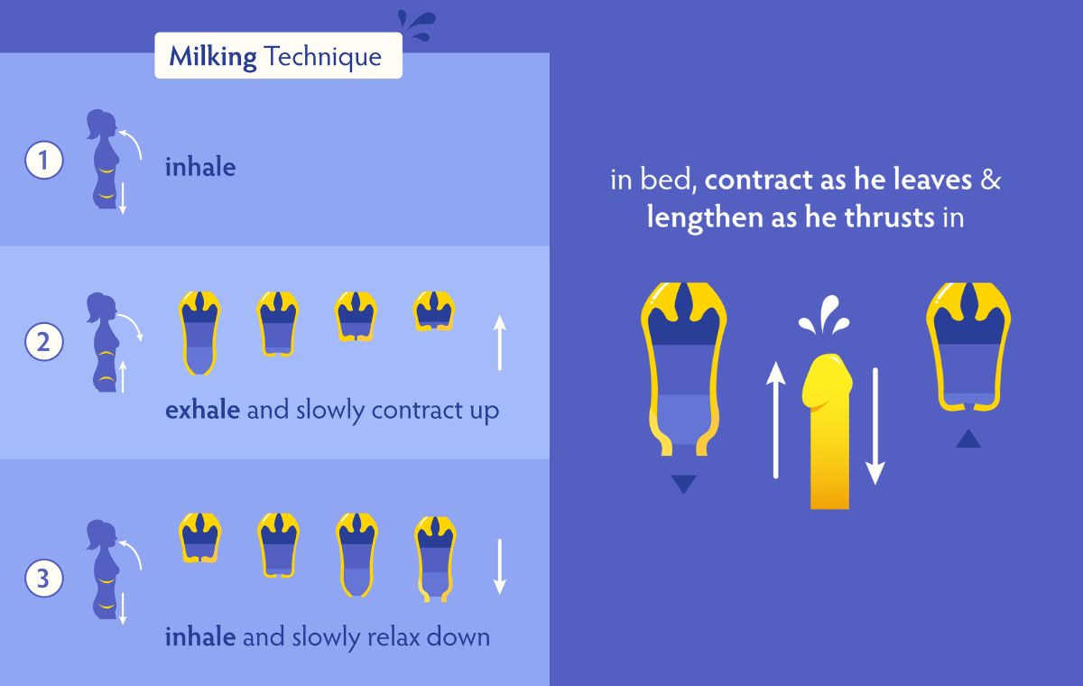 Pompoir Milking Technique Infographic