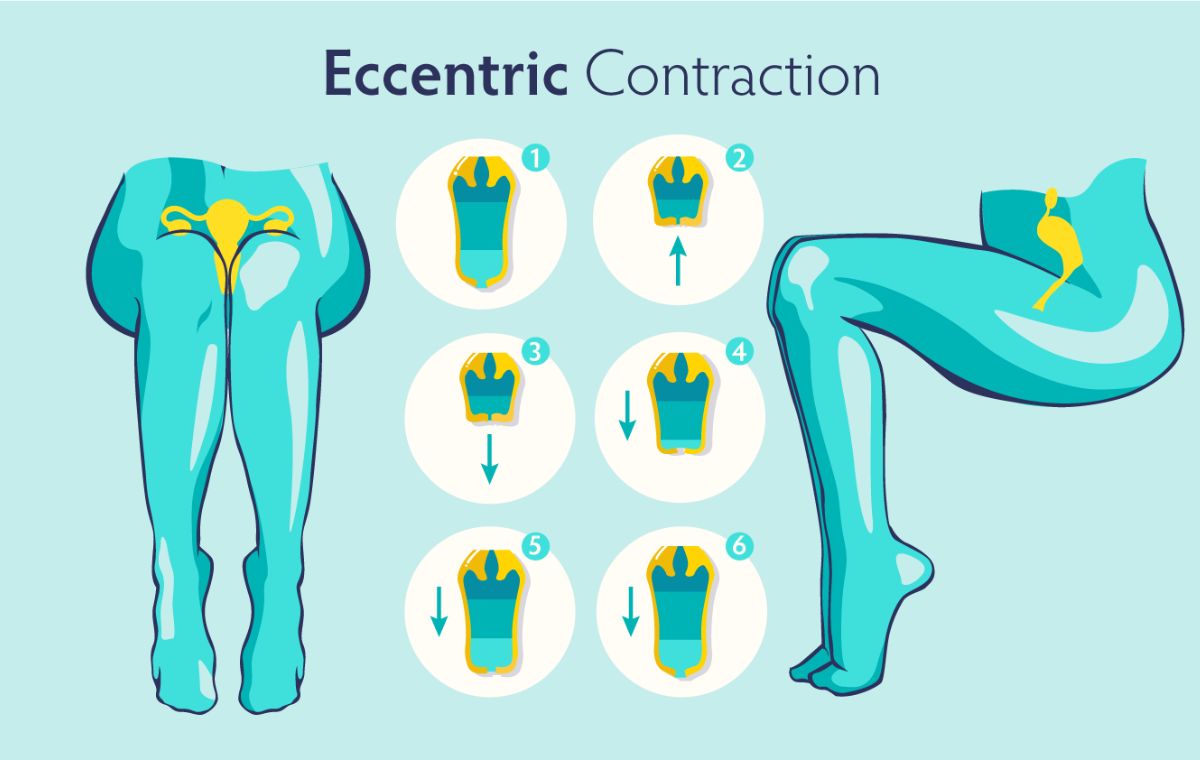 Eccentric Contraction