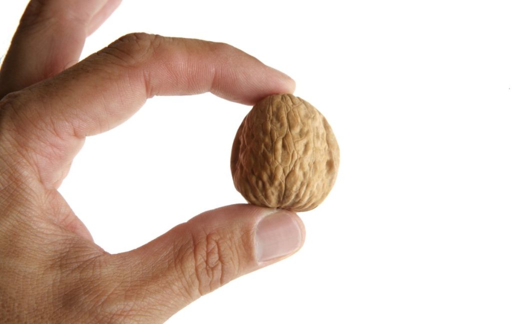 A Tutorial To Increasing Male Satisfaction – MysteryVibe