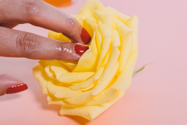 HOW TO FINGER A VAGINA INTERNALLY