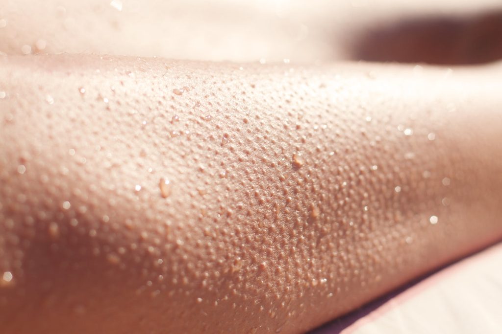 The Reality of Pores and skin Orgasms: Point or Fiction?