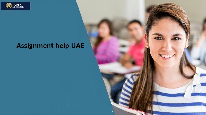 Hire Highly Efficient Assignment Help Online Services in UAE