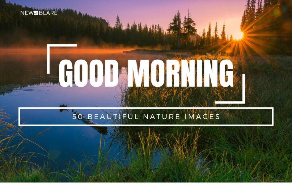 Start Your Day with a Serene View: Discover the Best Nature-Inspired Good Morning Images