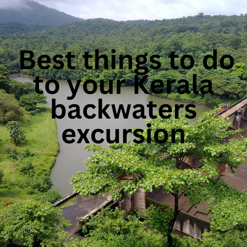 Best things to do to your Kerala backwaters excursion