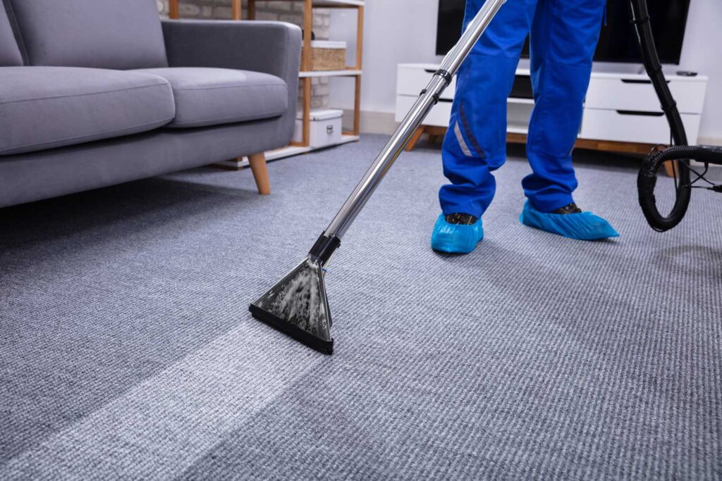 Lanior Carpet Cleaning Services: Elevating Cleanliness to an Art