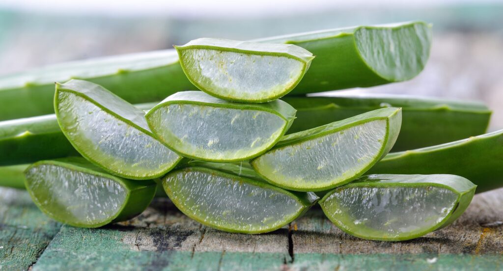 Aloe Vera Has Many Health Advantages