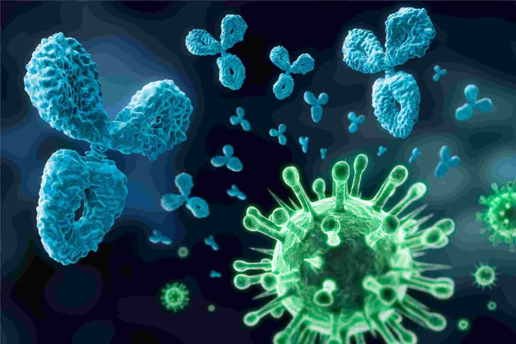 Bioorthogonal Reactions in Radionuclide Conjugates