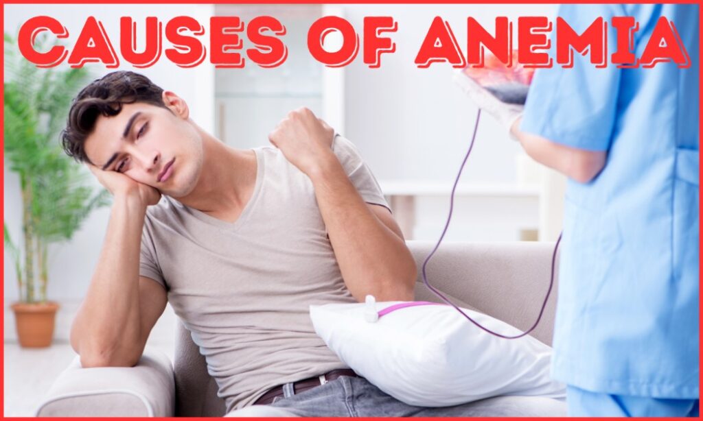 Understanding Anemia: Exploring the Root Causes