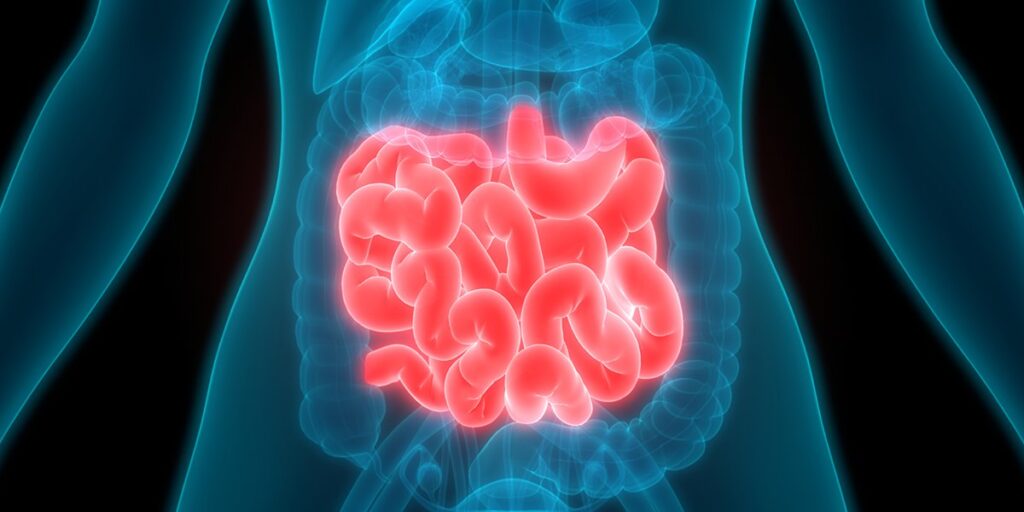 Global Carcinoid Tumor Market Trends Analysis: Industry Insights on Geographical Competition of Top Key Players