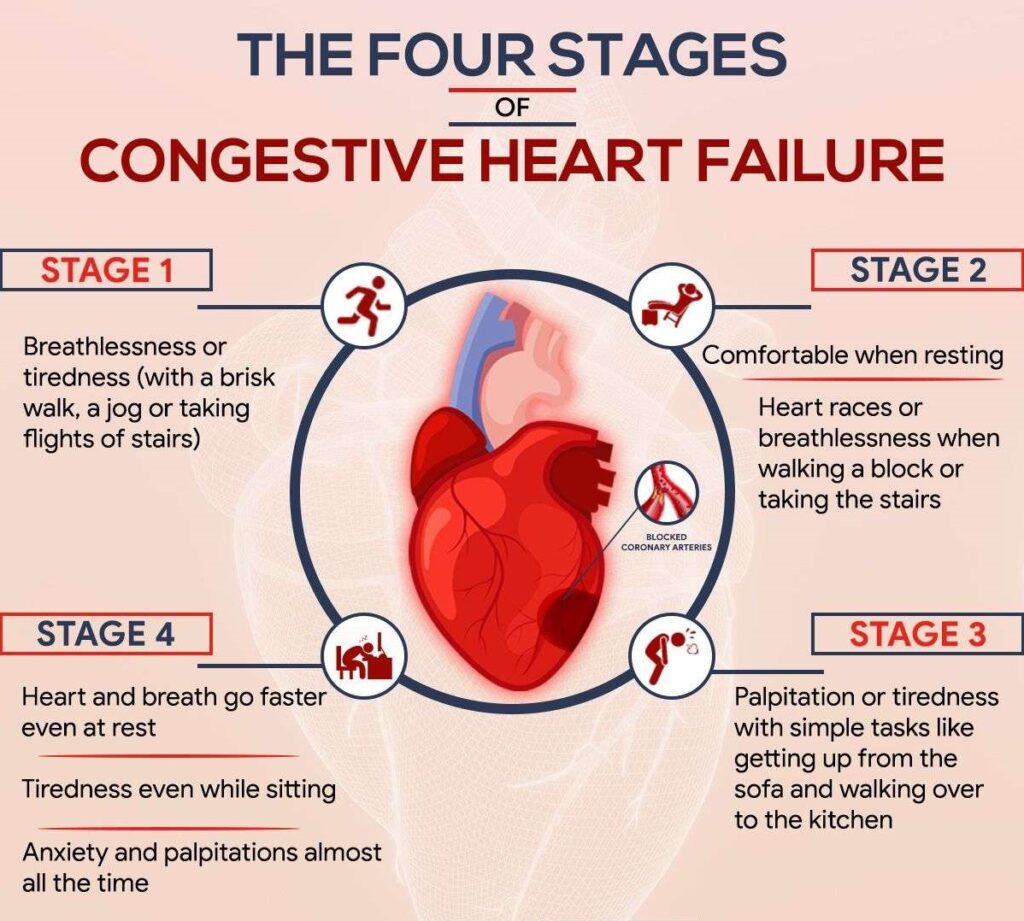 Hope on the Horizon: The Future of CHF Care