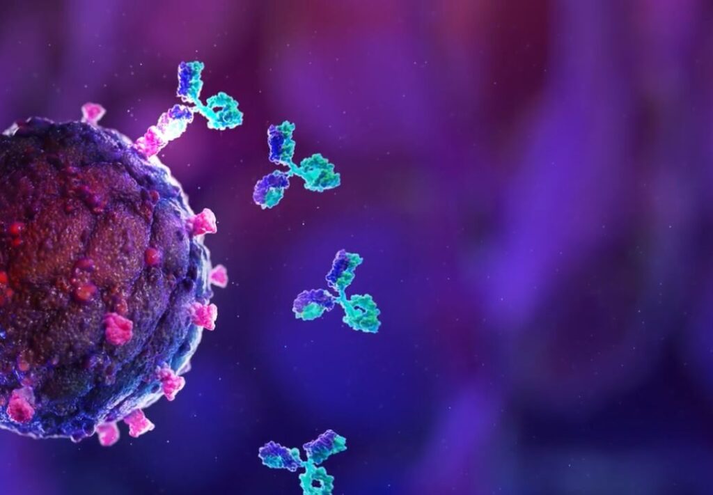 Custom Antibody Market Research Projects the Industry to Grow Strenuously During the Projection Timeframe 2023-2030