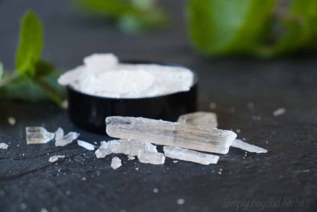 Prefeasibility Report on a Menthol Crystal Manufacturing Unit