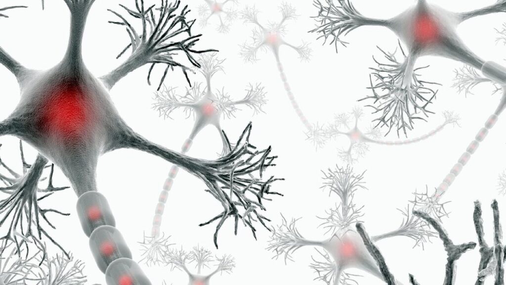 Multiple Sclerosis Treatment Market Trends and Forecast | Research Report covers Global Industry Size & Share