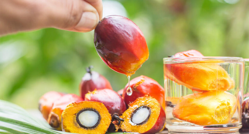 Palm Oil Market Report, Size, Industry Share, Growth, Trends, Key Players Analysis, Forecast 2023-2028