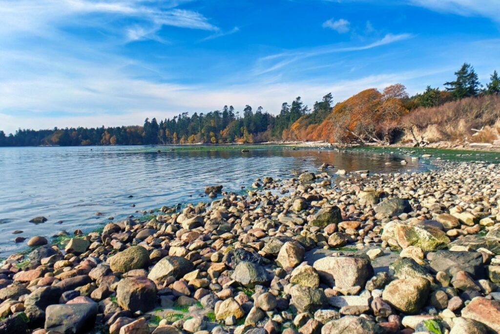 What to Do In the San Juan Islands