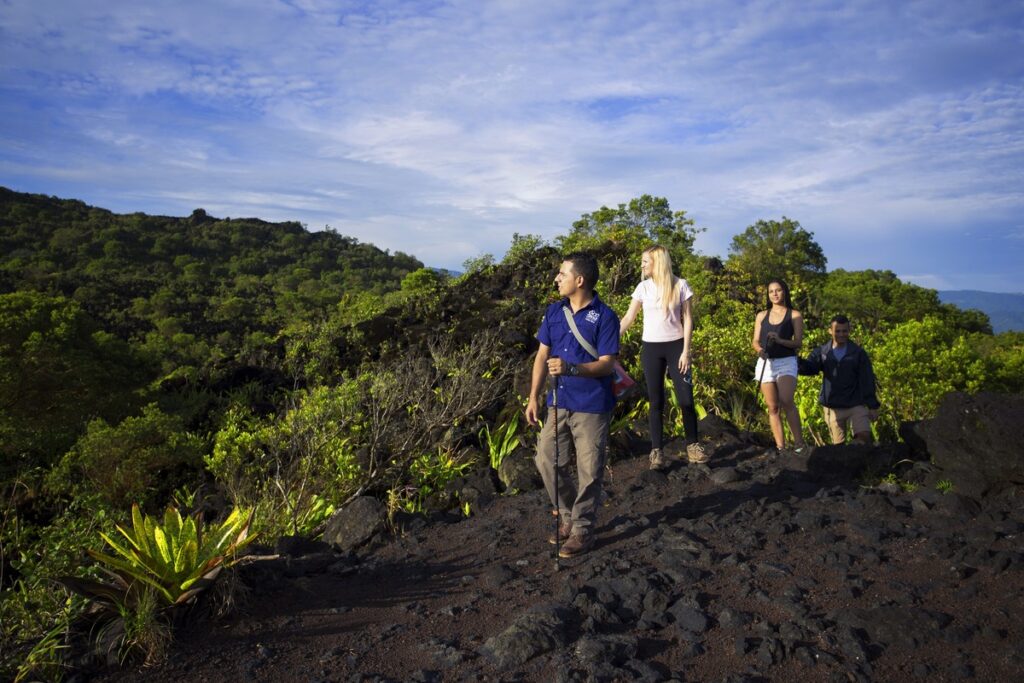 Traveling Costa Rica: A Step-by-Step Guide to Tour Company Selection