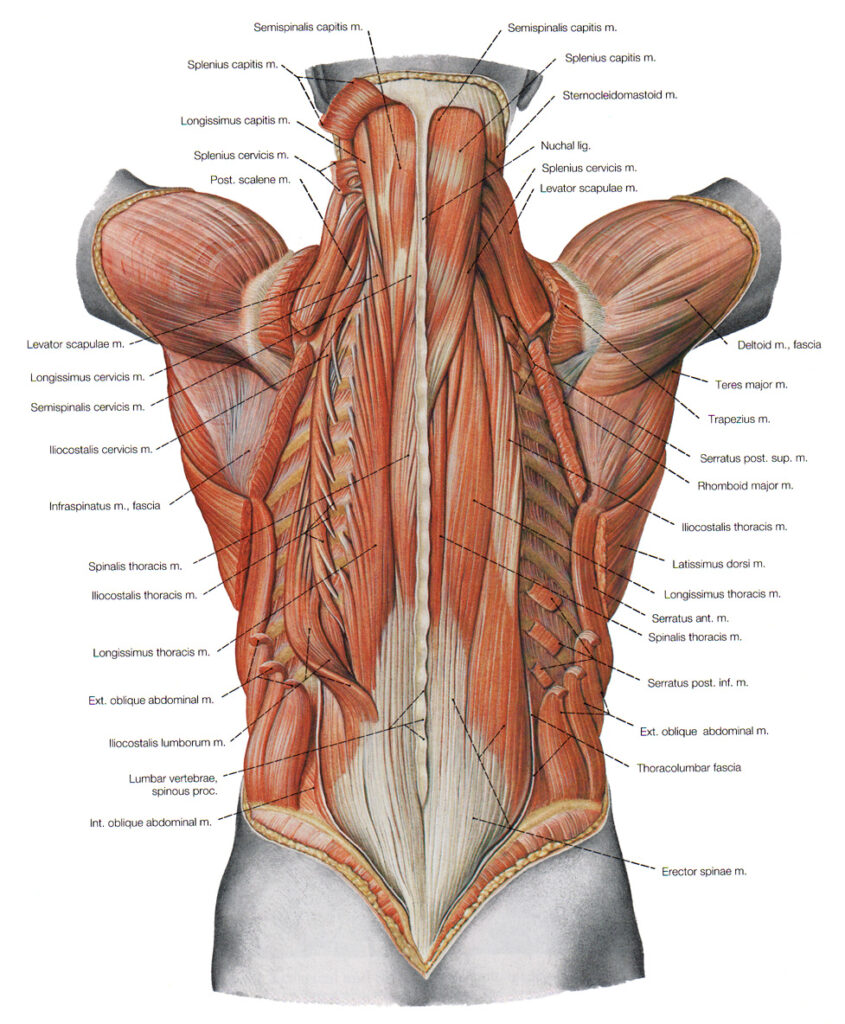 Quick Relief Tips for Sore Muscles