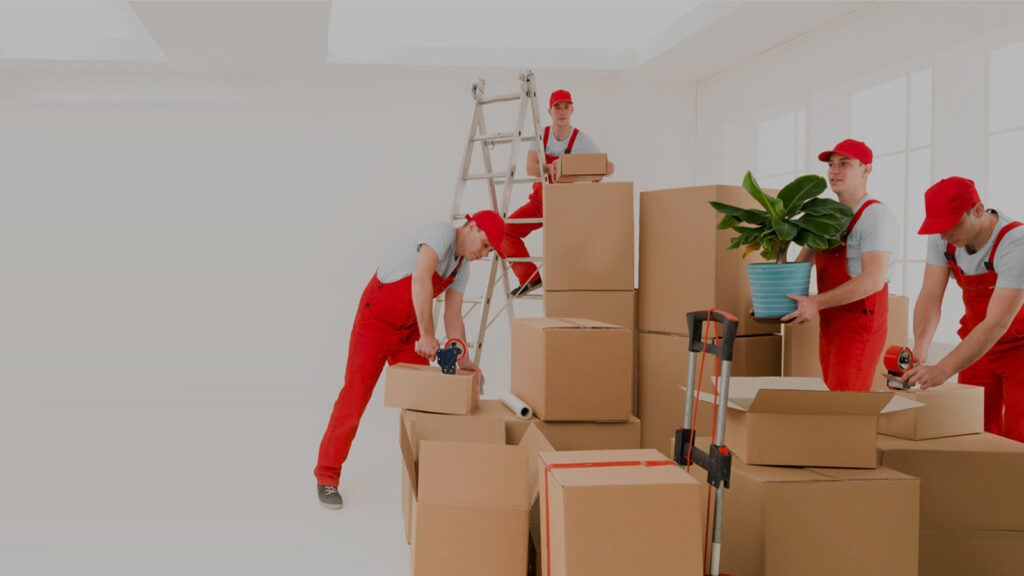 Understanding Office Movers and Packers