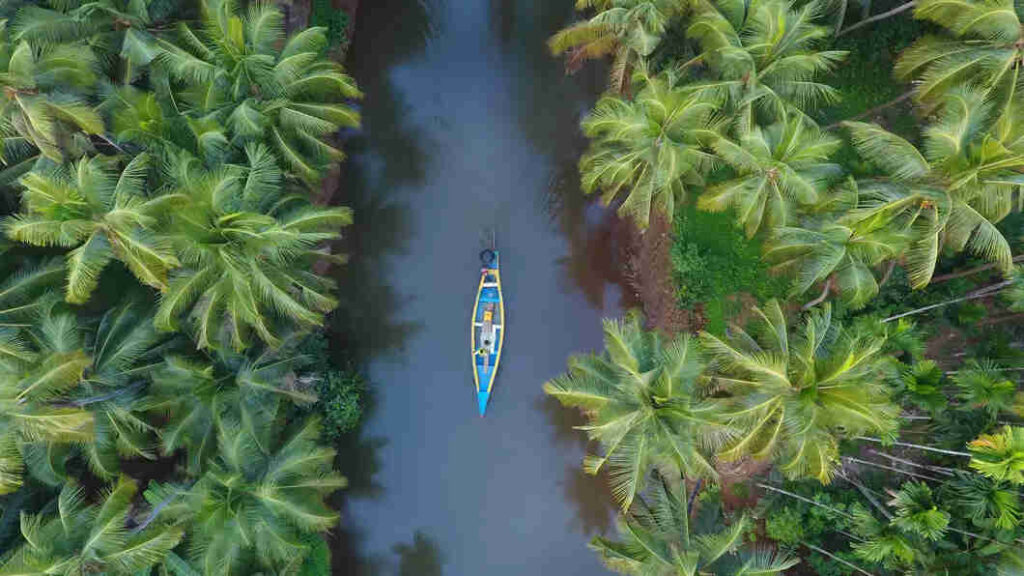 Exploring God’s Own Country: A Guide to Kerala’s Top Tourist Spots for Ahmedabad Travelers