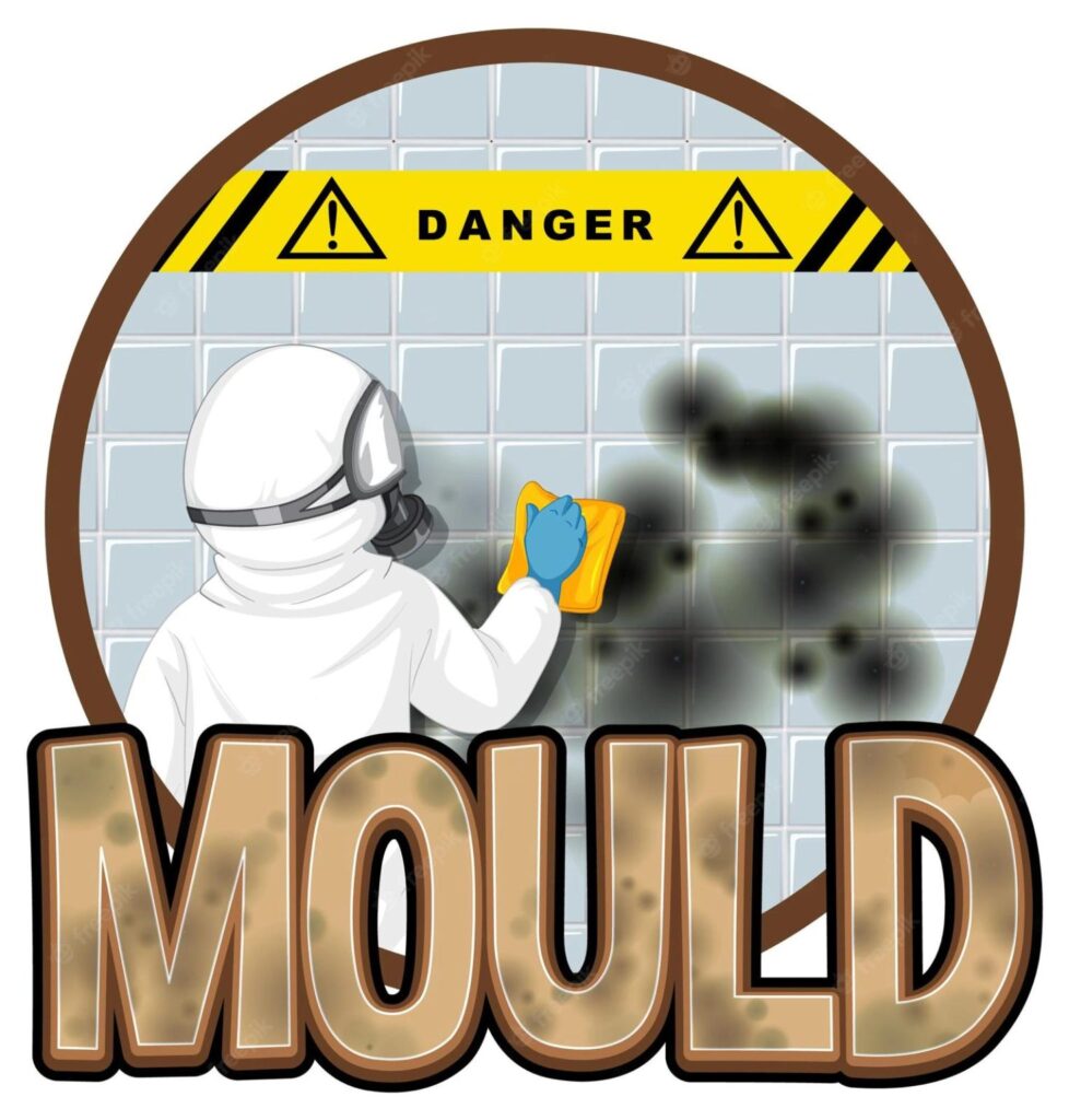 Mould cleaning services in uk