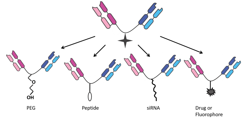 Glycoproteins Analysis Based on HPLC