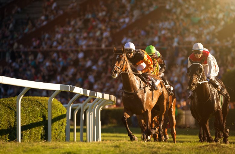 “Fast Tracks and Winning Streaks: A Deep Dive into Horse Racing Excellence”