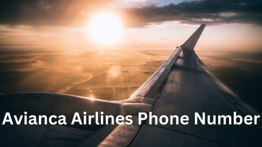 How do I Speak to Someone at Avianca?