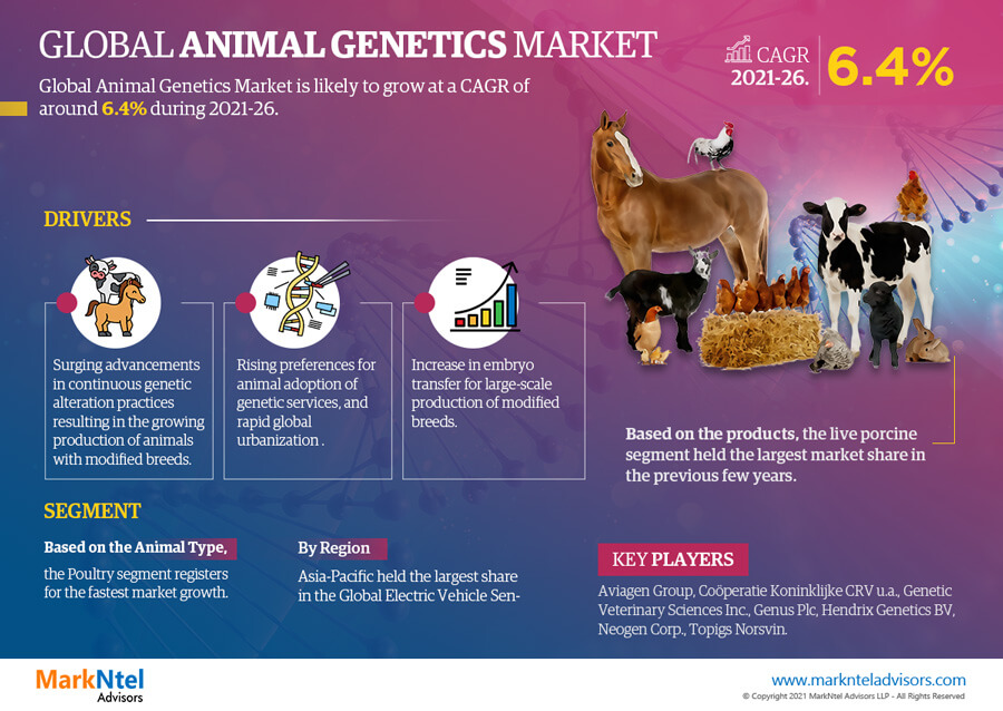 Global Animal Genetics Market May See a Big Move