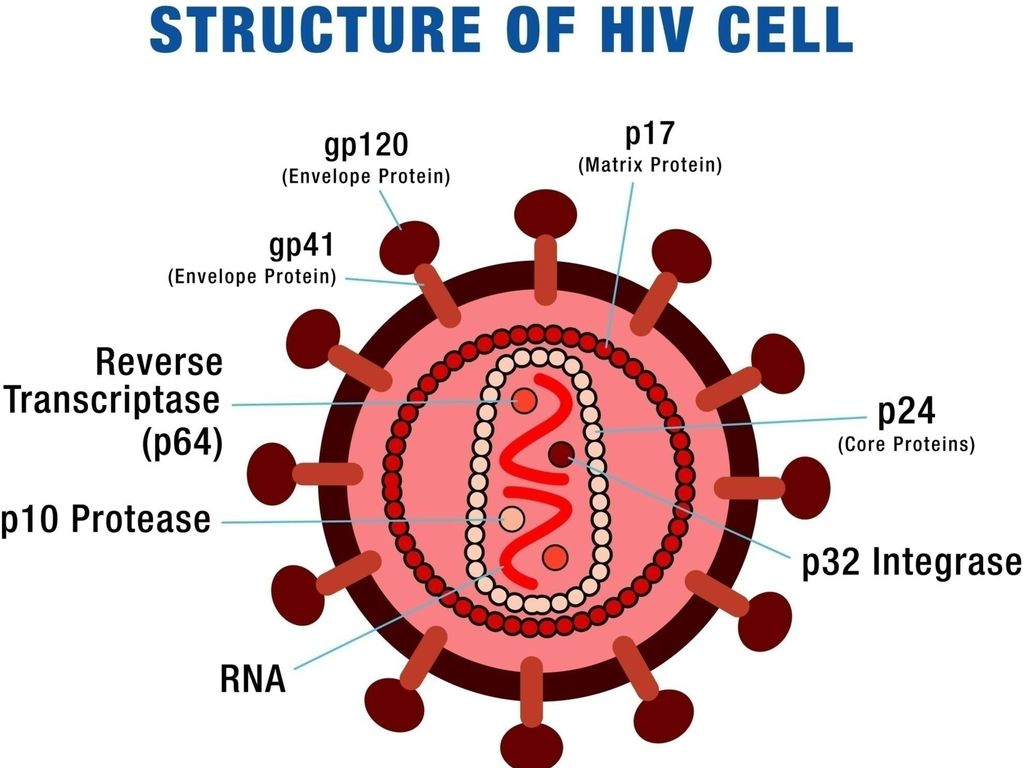 Charting New Paths in HIV Disease: Treatment, Services, Insights, and Research