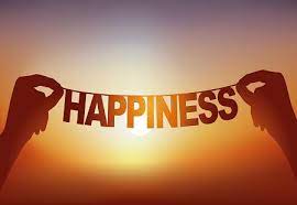 Link between Happiness and Life Satisfaction