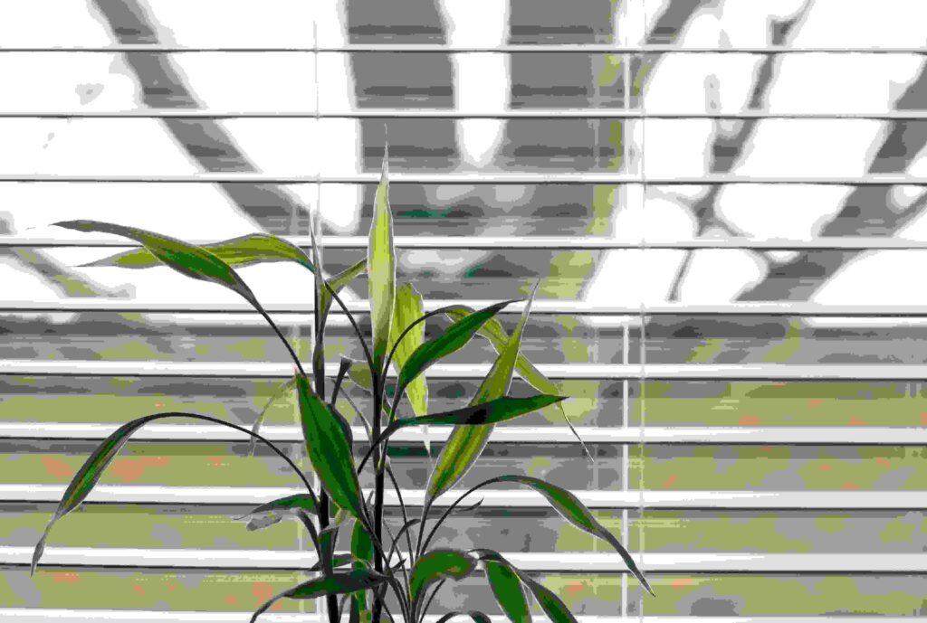 Level Up Your Space: The Power of Custom Blinds