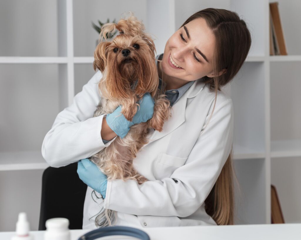 How to Leverage Your Vet Email List to Strengthen the Human-Animal Bond